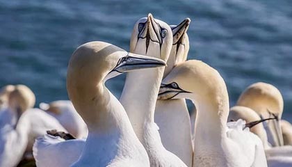 爱游戏体育入口-巴萨再胜，梅西连场破门，势不可挡，巴萨梅西比赛