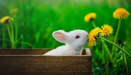 爱游戏体育入口-巴萨再胜，梅西连场破门，势不可挡，巴萨梅西比赛